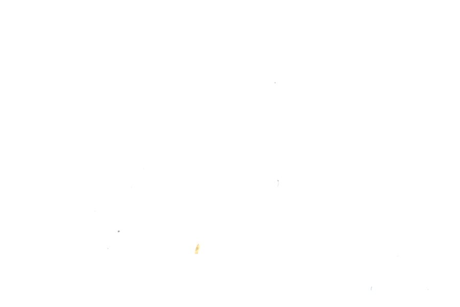 Image 31
